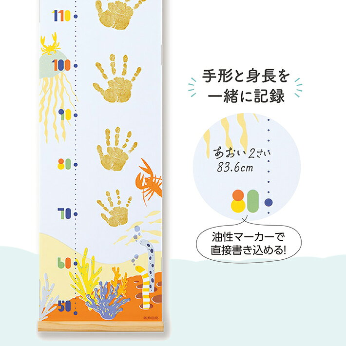 シャチハタ　手形身長計　うみのいきもの柄　HPSS-U　[M便 1/1]