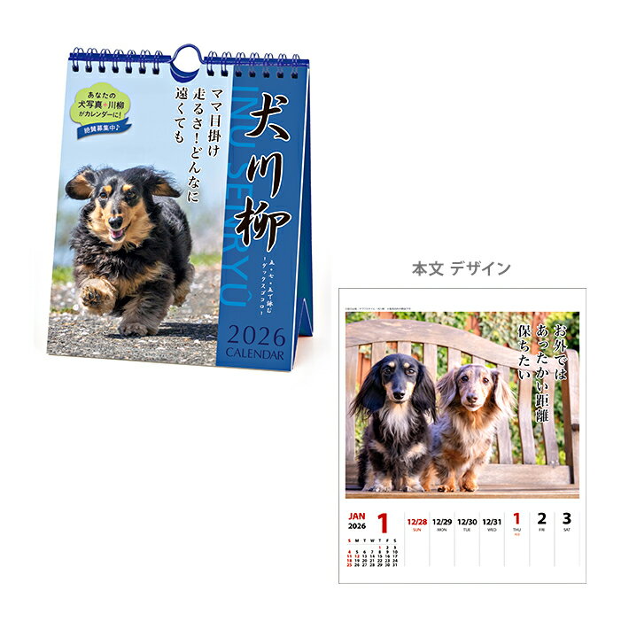 2026年　卓上カレンダー　犬川柳　週めくり　ダックス川柳　1000136873　[M便 1/2]