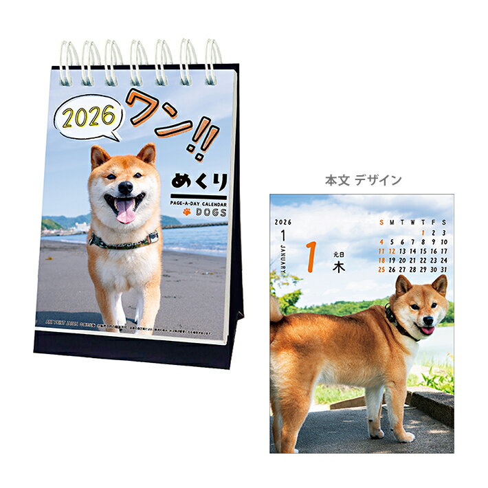 ワン!! めくり　2026年　卓上カレンダー　日めくり　1000136881　[M便 1/1]