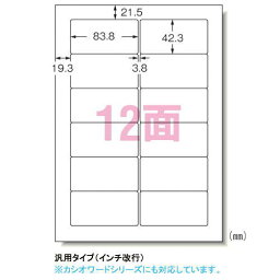 【送料無料】【エーワン】　パソコンプリンタ＆ワープロラベルシール〈プリンタ兼用〉　マット紙（A4判）　500枚入　規格：A4判12面 28727