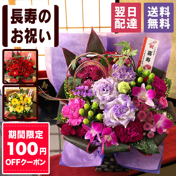 【100円OFFクーポン】【最短 翌日届