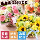 【最短 翌日届け 14時まで】クール便対応 花 誕生日 季節のおまかせアレンジ 送料無料 即日発送 フラワー 花 生花 歓迎 退職 女性 誕生日プレゼント バースデー 結婚記念日 祝い 送別 出産祝 開店 開店祝 品質保証 画像配信