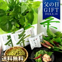 父の日 プレゼント ギフト 送料無料 おつまみ セット 育てて楽しむ 植物 苗 鉢植え 野菜 薬味 花 茶そば 讃岐うどん 楽天総合1位 メッセージカード付き イベントギフトD 2024の商品画像