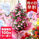 カーネーション 【10年連続総合1位】【早割＆100円OFFクーポン】母の日 プレゼント 花 ギフト 鉢植え アジサイ アレンジ アレンジメント スタンディングブーケ 花束 カーネーション 楽天総合1位 送料無料 メッセージカード付き ははの日 イベントギフトA 2024 BunBun!Bee