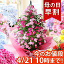 カーネーション 【10年連続総合1位】【早割実施中！】母の日 プレゼント 花 ギフト 鉢植え アジサイ アレンジ アレンジメント スタンディングブーケ 花束 カーネーション 楽天総合1位 送料無料 メッセージカード付き ははの日 イベントギフトA 2024 BunBun!Bee