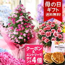 【エントリーでポイント4倍】【11年連続総合1位獲得】母の日 プレゼント 花 ギフト 鉢植え アジサ ...