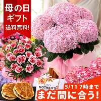 【まだ間に合う！】母の日 プレゼント 花 ギフト 花鉢 鉢花 アジサイ アレンジ ア...