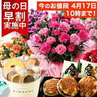 【早割＆100円OFFクーポン】母の日 プレゼント 花 ギフト 花とスイーツ セット 鉢...