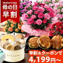 【早割＆100円OFFクーポン】【カーネーション+6種の有名スイーツから選べるセット】母の日 プレゼント 花 ギフト 花とスイーツ セット 鉢植え カーネーション 5号鉢 お菓子 キハチ 文明堂 なだ万 送料無料 メッセージカード付き ははの日 イベントギフトD 2024 BunBun!Bee