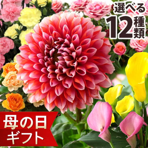 毎年楽天総合1位獲得！母の日ギフトは300種類以上！母の日はお母様に...