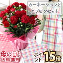 【期間限定！ポイント15倍】 母の日 プレゼント 花 ギフト 選べる24通り 花と雑貨 セット コラボ 鉢植え カーネーシ…