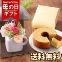 【まだ間に合う！】母の日 プレゼント 花 ギフト 花とスイーツ セット プリザーブド アレンジ バラ アジサイ プリザーブドフラワー アレンジメント ばら 薔薇 ソーラーローズ 送料無料 メッセージカード付き ははの日 イベントギフトK3 2024 BunBun!Bee