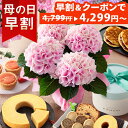 【早割＆100円OFFクーポン】母の日 プレゼント 花 ギフト 花とスイーツ セ