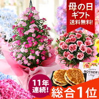 【11年連続総合1位獲得】母の日 プレゼント 花 ギフト 鉢植え アジサイ アレンジ ...