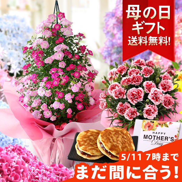 【まだ間に合う！】【11年連続！総合1位獲得】母の日 プレゼント 花 ギフト 鉢植え アジサイ アレンジ...