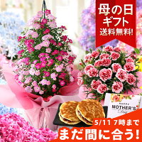 【まだ間に合う！】【11年連続！総合1位獲得】母の日 プレゼント 花 ギフト 鉢植え...