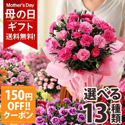 母の日 プレゼント 150円OFFクーポン！ 花 ギフト 鉢植え カーネーション 5号鉢 花鉢 選べる12種類 定番 赤 ピンク 送料無料 メッセージカード付き イベントギフトU 2023