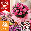 【まだ間に合う!クーポンで150円OFF】母の日 プレゼント 花 ギフト 鉢植え カーネーション 5号鉢 花鉢 選べる13種類 定番 赤 ピンク 送料無料 メッ...