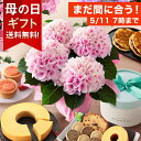 【まだ間に合う！】【ポイント5倍 12時59分まで】【6種の有名スイーツから選べるセット】母の日 プレゼント 花 ギフト 花とスイーツ セット 鉢植え アジサイ バラ お菓子 キハチ 文明堂 なだ万 送料無料 メッセージカード付き ははの日 イベントギフトL 2024 BunBun!Bee