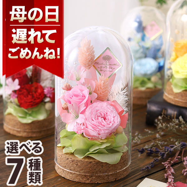 母の日 早割 4月30日まで！ クーポンで100円OFF 花 ギフト プレゼント プリザーブド ドーム バラ カーネーション プリザーブドフラワー アレンジメント ガラスドーム 送料無料 メッセージカード付き イベントギフトK2 2023のサムネイル