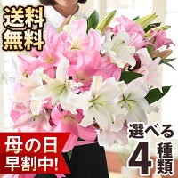 【早割最終日！28日まで】母の日 プレゼント 花 ギフト 花束 ブーケ オリエンタル...