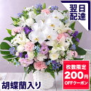 【クーポンで200円OFF!】【最短 翌日届け 14時まで】お盆 お供え お悔やみ 花 旬のおまかせアレンジメント LL 供花 仏花 ギフト プレゼント フラワー ギフト メモリアル アレンジ お彼岸 法要 供養 初盆 命日 お悔み 法事 四十九日 枕花 仏事 弔事 供花 喪中