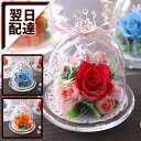 プリザーブドフラワー 花 プリザーブドドーム 送料無料 楽天1位 女性 誕生日プレゼント 誕生日 プレゼント ギフト 歓迎 退職 結婚記念日 祝い 送別 出産祝...