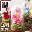 プリザーブドフラワー 花 プリザーブド・ローズドーム 送料無料 楽天1位 女性 誕生日プレゼント 誕生日 プレゼント ギフト フラワーケーキ 歓迎 退職 結婚記...