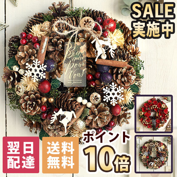 クリスマスリース 【ポイント10倍＆SALE実施中！】 あす楽 平日14時まで クリスマス リース ナチュラルリース Mサイズ 送料無料 直径約20cm以上 誕生日プレゼント 誕生日 プレゼント ギフト 玄関 ドア 飾り ウェルカム 造花 ドライフラワー お祝い かわいい