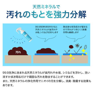 ウイルス対策 感染予防 洗浄 除菌 除菌消臭スプレー 除菌スプレー 99.9 空間除菌 消臭 空気感染 強力除菌 手指消毒 衣類消臭 介護用除菌洗浄スプレー 350ml 天然成分100％ 無臭天然ミネラル成分で安心！ニオイの元を分解・消臭・除菌だから匂い戻りなし！