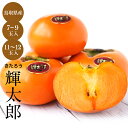 2025年 ご予約開始 とにかく甘くて大きい柿! 輝太郎柿(きたろう かき) 7玉~10玉 11玉~12玉 (約3kg)送料無料 ギフト プレゼント 健康 果実 秋の味覚 収穫時期に順次発送