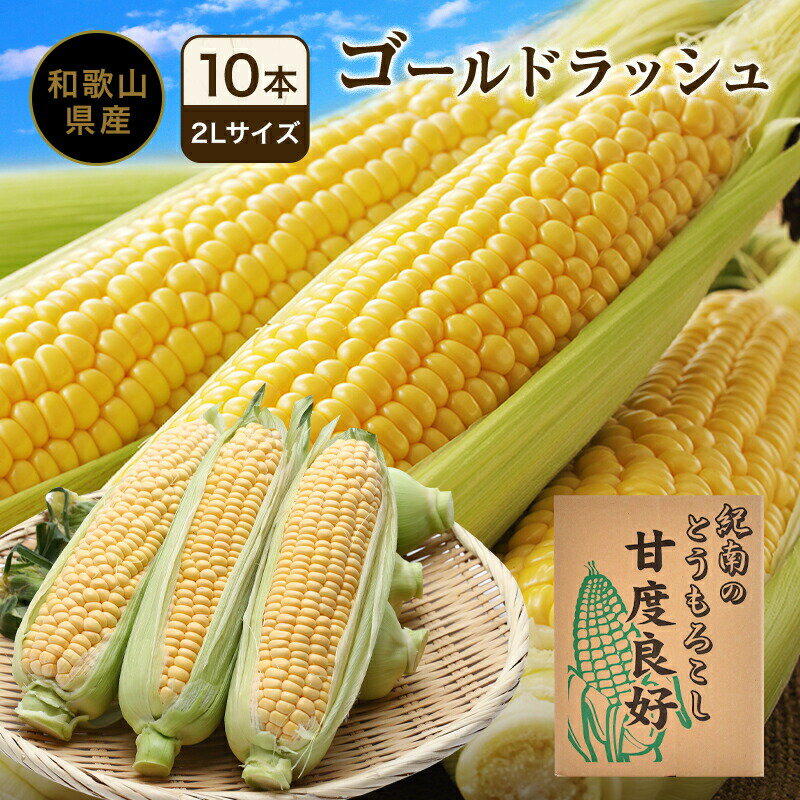 ご予約開始和歌山の甘いとうもろこし ゴールドラッシュ 2Lサイズ10本(約4kg)送料無料 和歌山県白浜町産..