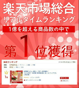 紀州梅うどん 4食めんつゆ付冷しうどん、かけうどんが選べる＼全国送料無料／【国産小麦きたほなみ使用】【食品ランキングデイリー1位獲得】うどん日本一決定戦 味評価全国二位のざるうどん！