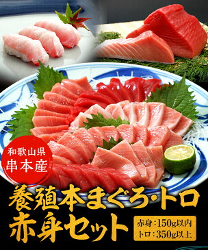 内祝い 健康ギフト プレゼント串本産 養殖 本まぐろ トロ、赤身セット（赤身150g以内、トロ350g以上）サクの状態で3〜4袋でお届け（真空包装）冷凍便送料無料（一部地域を除く）マグロ 鮪 本鮪 刺身