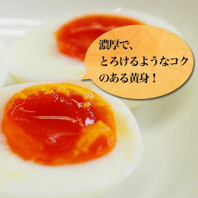 こだわり家族のこだわり卵 お得な60個入【送料無料】栄養機能食品（ビタミンE）。ビタミンE 30倍、ビタミンD 8倍！生で食べても安全 濃厚なコクのある黄身が特徴の美味しいたまご全てにこだわった鮮やかなオレンジ色の玉子を直送 bundara-10011880 ふみこ農園グルメとスイーツギフト サンプル画像2