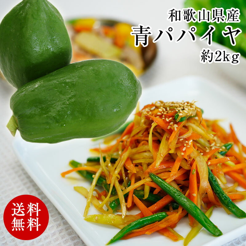 無農薬栽培 和歌山県産 青パパイヤ 約2kg（2玉）【送料無料】※一部地域除くダイエットに パパイン酵素たっぷり！効能たっぷり！ソムタムやサラダにも！※発送期間：9月上旬～11月下旬頃まで