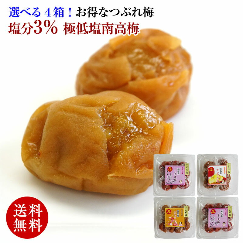 【ふるさと納税】 梅干し 熊野乃梅 うす塩 (塩分9％) 1kg (500g×2P) しそふりかけ 三重 熊野市