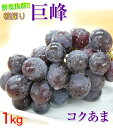 ご予約開始! 巨峰1kg(2~4房入)和歌山県 有田巨峰村の朝採り巨峰!大変みずみずしく、甘さたっぷりコクのあるぶどう!※種にご注意下さい。