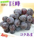 ご予約開始! 巨峰4kg(10~13房入)和歌山県 有田巨峰村の朝採り巨峰!大変みずみずしく、甘さたっぷりコクのあるぶどう!※種にご注意下さい。