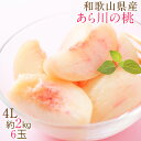 桃 ご予約開始 【早割特価 5％OFF】贈り物 ギフト 送料無料和歌山県産あら川の桃 特秀品！減農薬栽培のエコファーマー認定農家がつくる土、安心安全、味覚にこだわるみずみずしく濃厚な甘みの美味しい桃