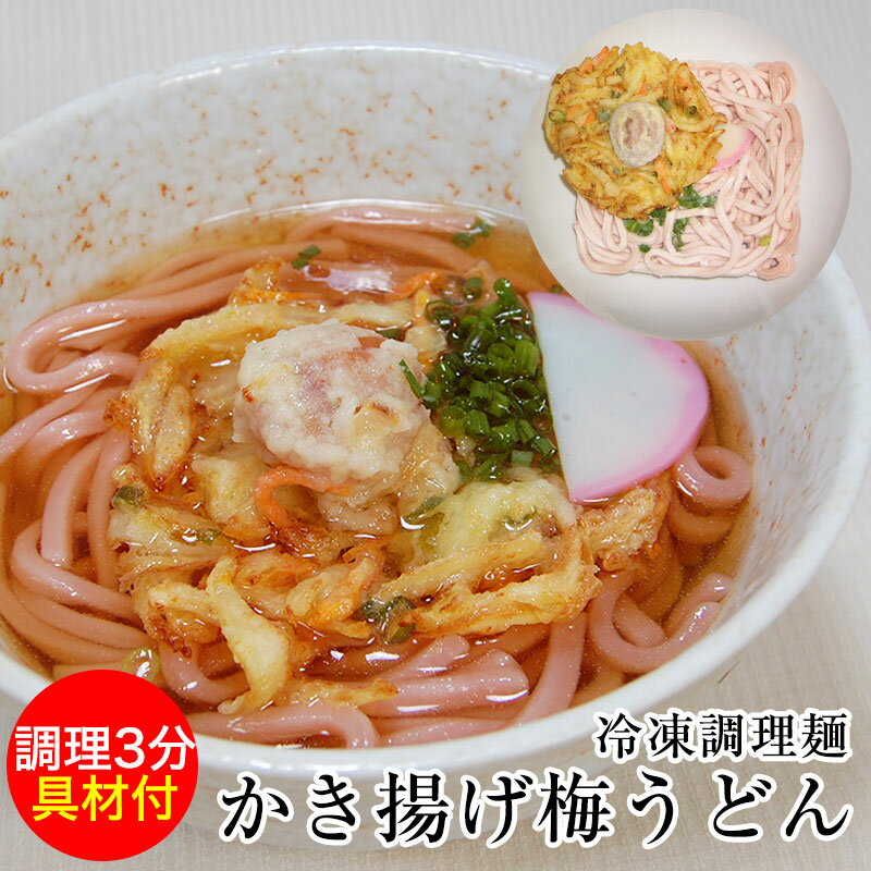 具材付き 冷凍かき揚げ梅うどん1食分★超簡単！スピードクッキング★具材付き冷凍麺どれでも7食以上で和歌山ラーメンプレゼント！13食以上でクール便送料無料!!【麺・スープ・具材付！】梅うどん/かき揚げ/冷凍麺 1