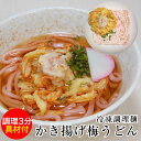 具材付き 冷凍かき揚げ梅うどん1食分★超簡単!スピードクッキング★具材付き冷凍麺どれでも7食以上で和歌山ラーメンプレゼント!13食以上でクール便送料無料!!【麺...