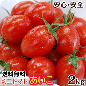 ミニトマトあいこ（アイコ）2kg【送料無料】和歌山のエコファーマーが減農薬・減化学肥料で作るこだわりの果肉・栄養たっぷりの美味しいトマト（ロケットトマト）