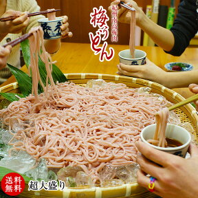 在宅応援！ご家庭用 お買得夏麺！大盛り冷し梅うどん10食セット 【送料無料】（麺、めんつゆ、梅干240g付）代々木公園 U-1グランプリ出場ざるうどん ランキング1位獲得テレビ メディアでも人気の冷しうどんたっぷりお買得セット