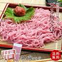 送料無料 お持たせ 手土産 紀州 梅ざるそば 500g（5人前 めんつゆ付）ご家庭用ネコポスお届け（代引、お届け指定不可）年越し蕎麦 蕎麦 年越しそば そば 年明けうどん うどん