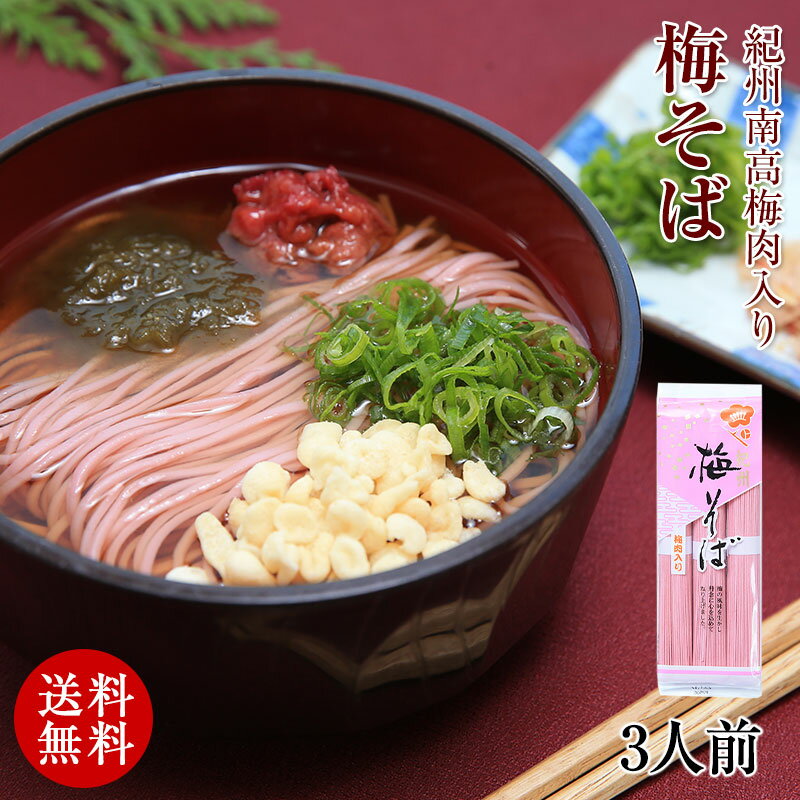 紀州南高梅肉入 紀州 梅そば 300g（3人前）【全国送料無料】★2箱ご購入でめんつゆ6食分プレゼント！（1..