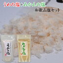 梅塩2種 梅の塩250g、みかん塩200g【全国送料無料】※ネコポスお届け。(日時指定不可・代引不可・同梱不可)