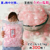 熱中対策・夏バテ対策に効果抜群!熱中飴梅塩飴(梅塩キャンディ)お得な業務用大袋1kg入(1粒3g 約300粒)梅のクエン酸!体にやさしい塩分補給うめ塩キャンディ 夏バテ防止 ミネラル 暑さ対策 熱中症対策 しおあめ 塩あめ