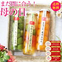 楽天市場人気商品