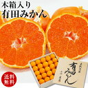 【今だけ5400円→3999円】 豪華 木箱入 完熟有田みかん 50～60玉（約3.3kg入） ギフト 食べ物 食品 セット 温州みかん ブランド 完熟みかん ミカン てぬぐい 有田みかん みかん 送料無料 人気 おすすめ お返し お礼 豪華ギフト